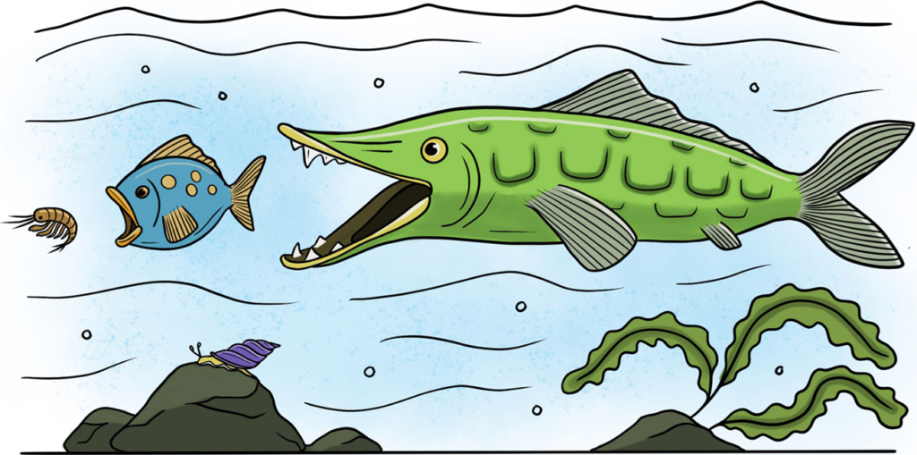 Illustration von Wasserleben mit Fischen.