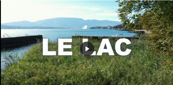Video zur Renaturierung vom Seeufer in Genf.