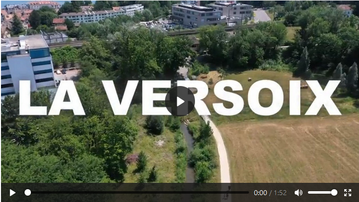 Feld mit Weg und Häusern im Hintergrund, Video zur Renaturierung eines Flusses in Versoix.