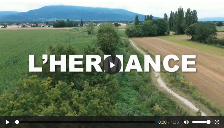 Feld mit Weg, Video zur Renaturierung von Wasserläufen und Ufern in Genf: Die Ortschaft Hermance.