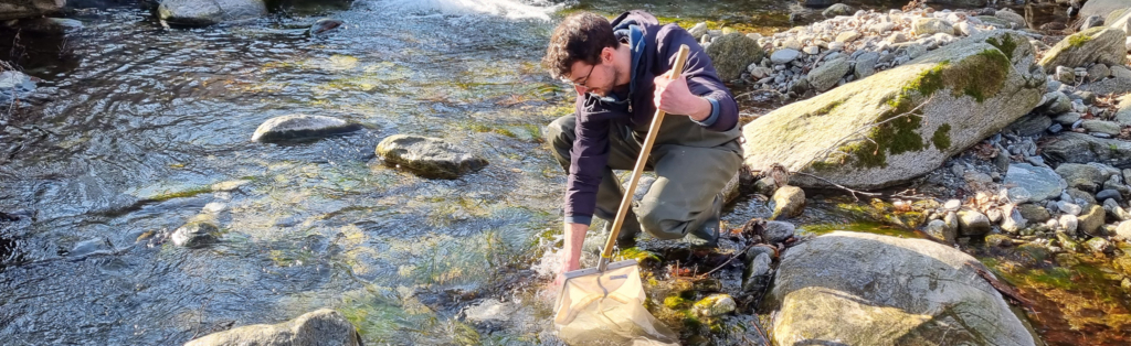 Ein Gewässerökologe, der mit einem Netz in einem Bach Wasser entnimmt.