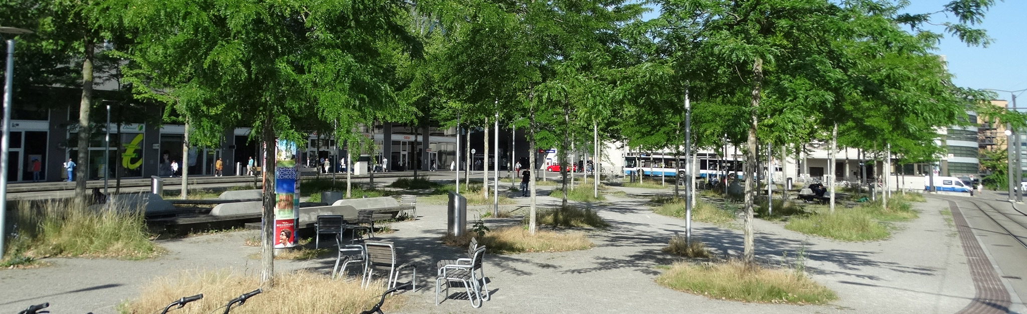Ein Park mit Bänken und Bäumen mitten in der Stadt.