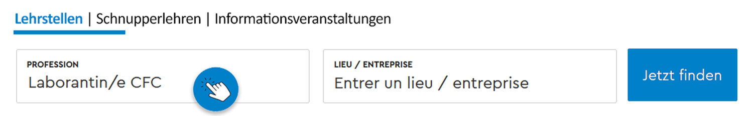 Website-Oberfl&auml;che in deutscher und franz&ouml;sischer Sprache mit Feldern f&uuml;r Beruf und Unternehmensstandort sowie einer blauen Schaltfl&auml;che mit der Aufschrift "Jetzt finden".
